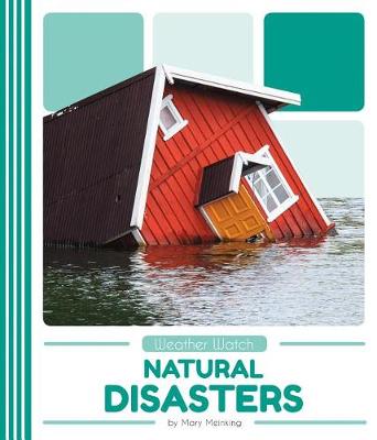 Book cover for Natural Disasters