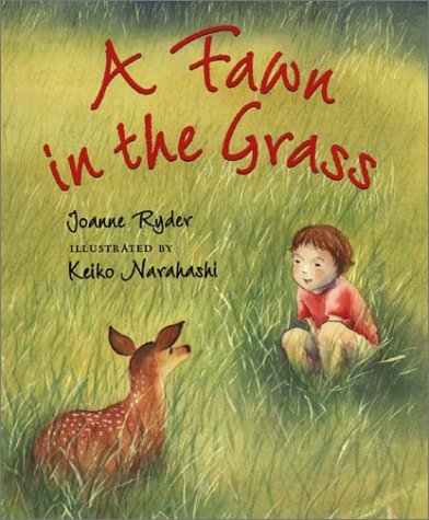 Book cover for Fawn in the Grass