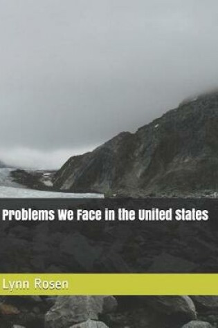 Cover of Problems We Face in the United States