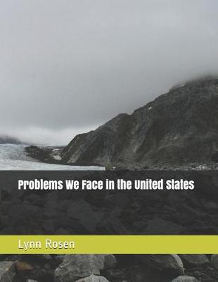 Book cover for Problems We Face in the United States