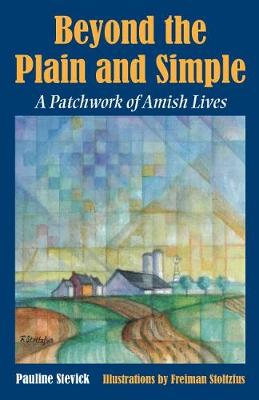 Book cover for Beyond the Plain and Simple