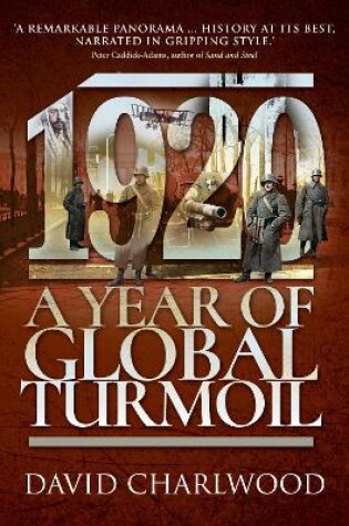 Cover of 1920: A Year of Global Turmoil