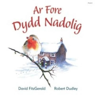 Book cover for Ar Fore Dydd Nadolig