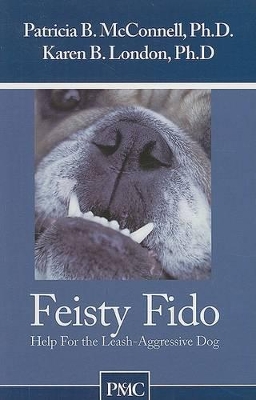 Book cover for Feisty Fido