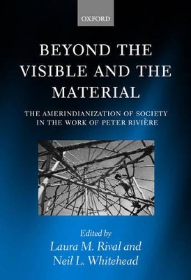 Cover of Beyond the Visible and the Material