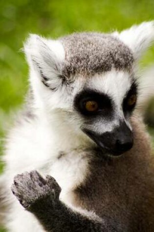 Cover of Ring-Tailed Lemur Portrait Journal