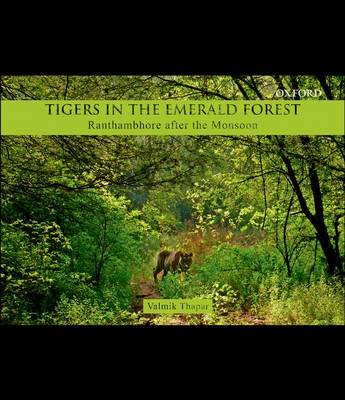 Book cover for Tigers in the Emerald Forest