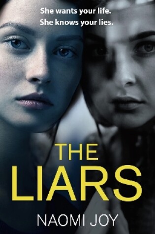 Cover of The Liars