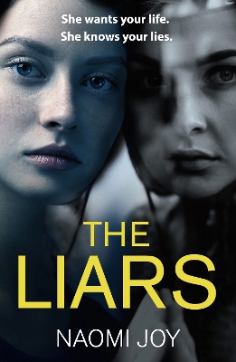 Book cover for The Liars