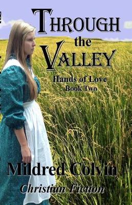 Book cover for Through the Valley