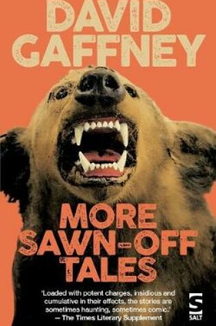 Cover of More Sawn-Off Tales