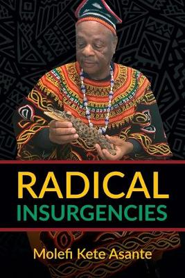 Book cover for Radical Insurgencies