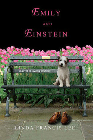 Cover of Emily & Einstein