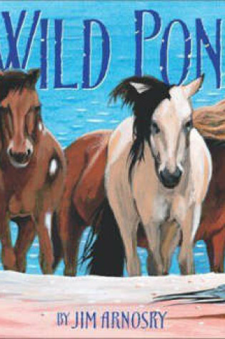 Cover of Wild Ponies