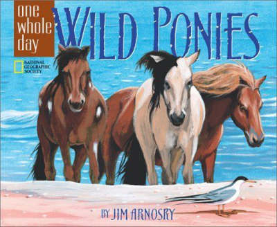Book cover for Wild Ponies