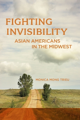 Cover of Fighting Invisibility