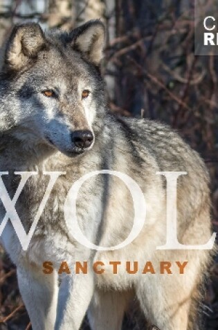 Cover of Wolf Sanctuary