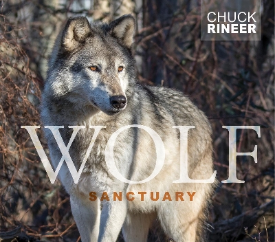 Book cover for Wolf Sanctuary