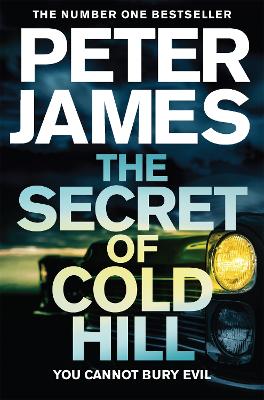 Book cover for The Secret of Cold Hill