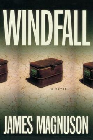 Cover of Windfall