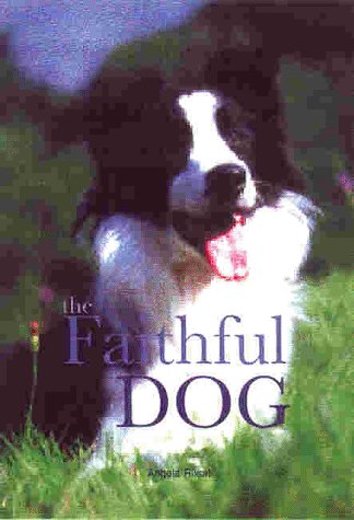 Book cover for Dogs