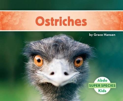 Book cover for Ostriches