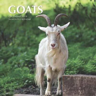 Book cover for Goats Calendar 2019