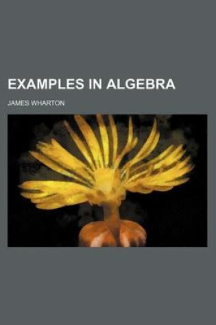 Cover of Examples in Algebra