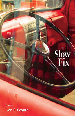 Book cover for The Slow Fix