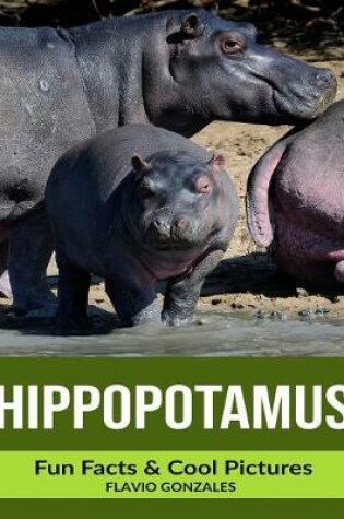 Cover of Hippopotamus
