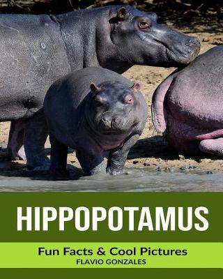 Book cover for Hippopotamus