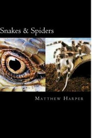 Cover of Snakes & Spiders