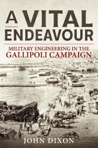 Cover of A Vital Endeavour