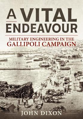 Book cover for A Vital Endeavour