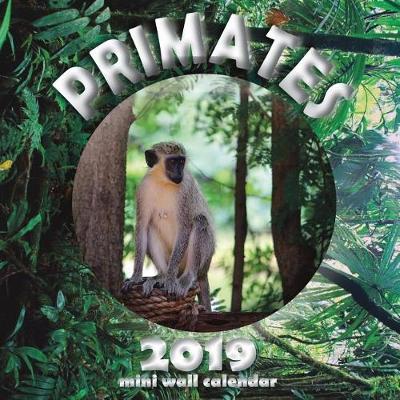 Book cover for Primates 2019 Mini Wall Calendar