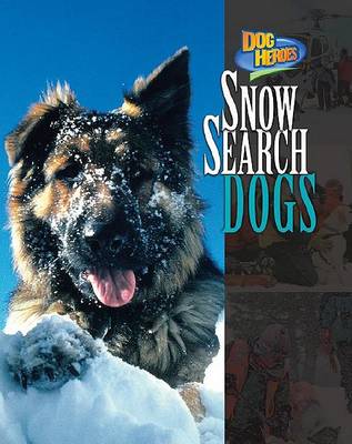 Book cover for Snow Search Dogs
