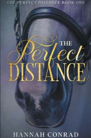 Cover of The Perfect Distance