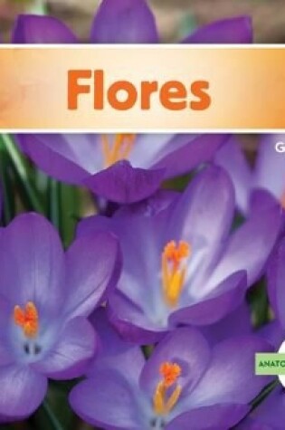 Cover of Flores (Flowers) (Spanish Version)