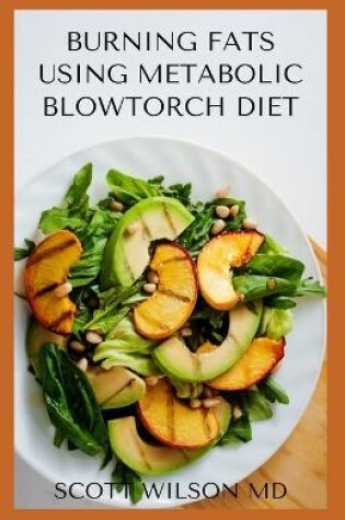 Cover of Burning Fat Using Blowtorch Diet