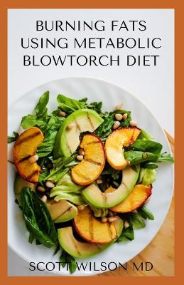 Book cover for Burning Fat Using Blowtorch Diet