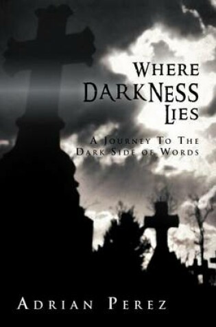 Cover of Where Darkness Lies