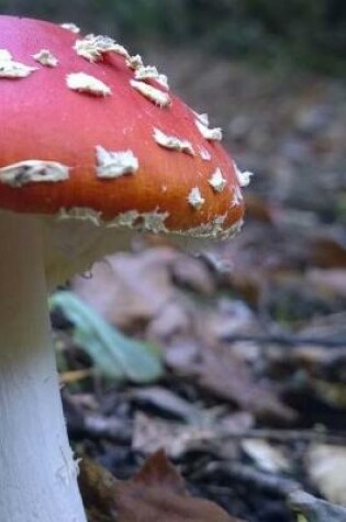 Cover of Fly Agaric Mushroom on the Forest Floor