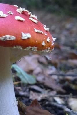 Book cover for Fly Agaric Mushroom on the Forest Floor