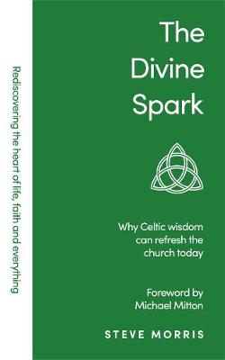 Book cover for The Divine Spark