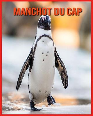 Book cover for Manchot du Cap