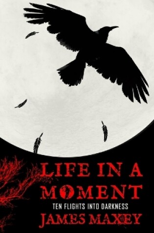 Cover of Life in a Moment