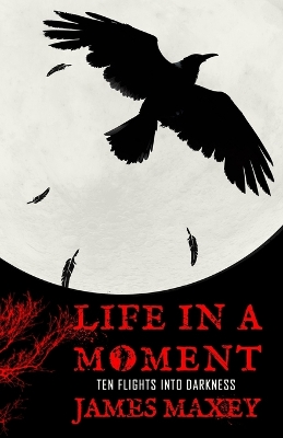 Book cover for Life in a Moment