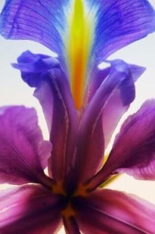 Cover of Cool Multicolored Single Iris Flower Journal