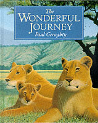 Book cover for The Wonderful Journey
