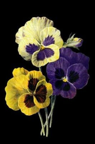 Cover of Vintage Pansy Flowers